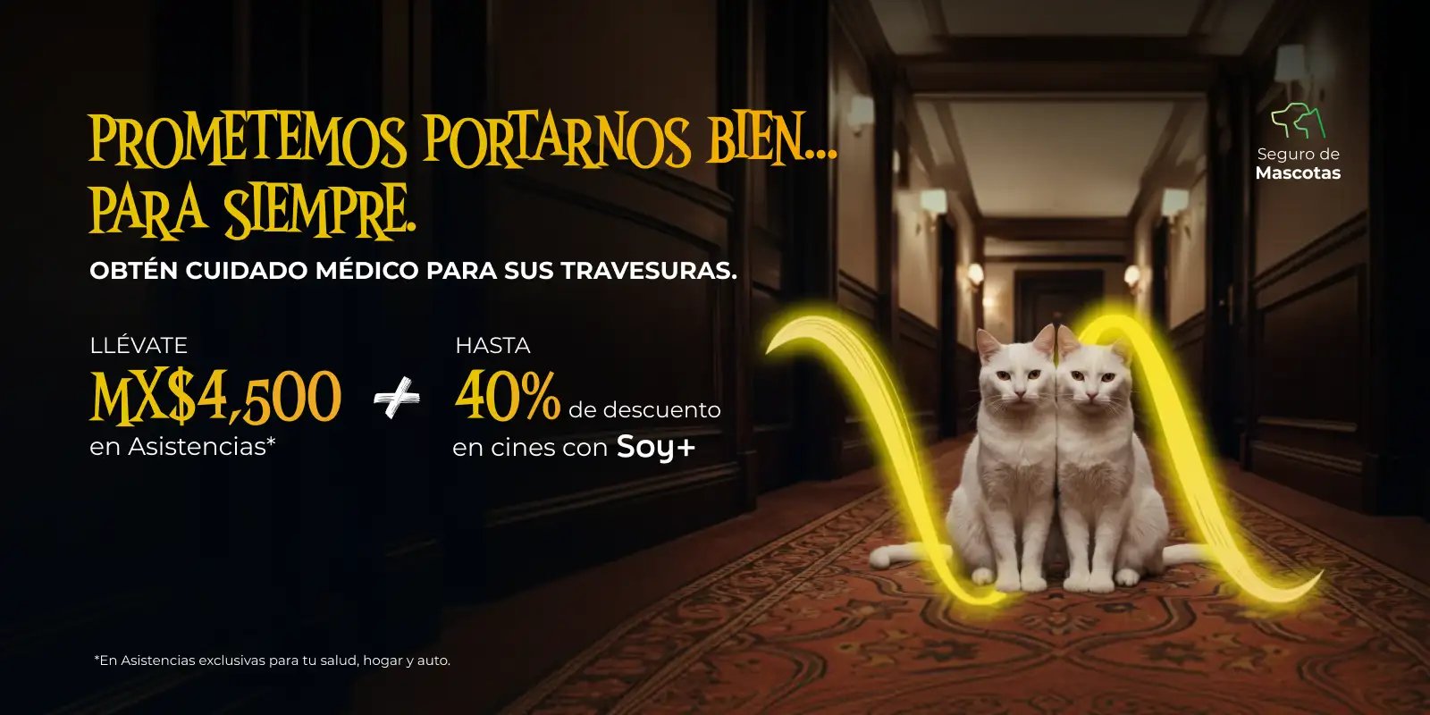 Gatitos blancos Halloween - Seguro de Mascotas