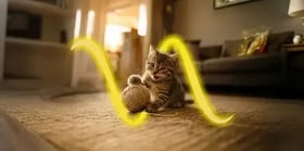 Gatito jugando con pelota