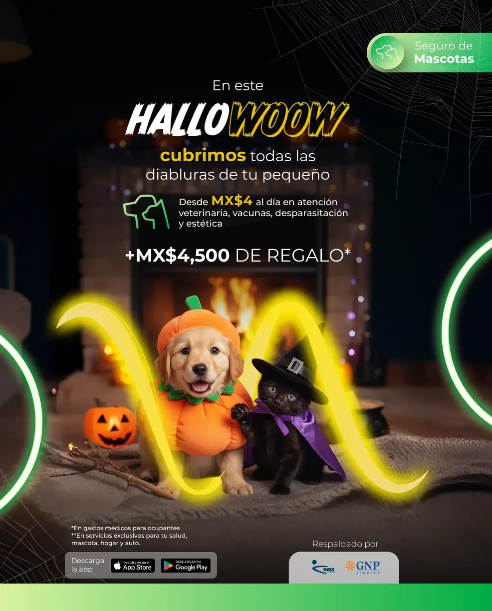 HERO_HOME_MASCOTAS_MOBILE