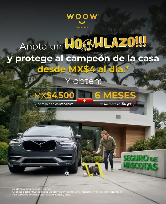 Seguro de mascotas