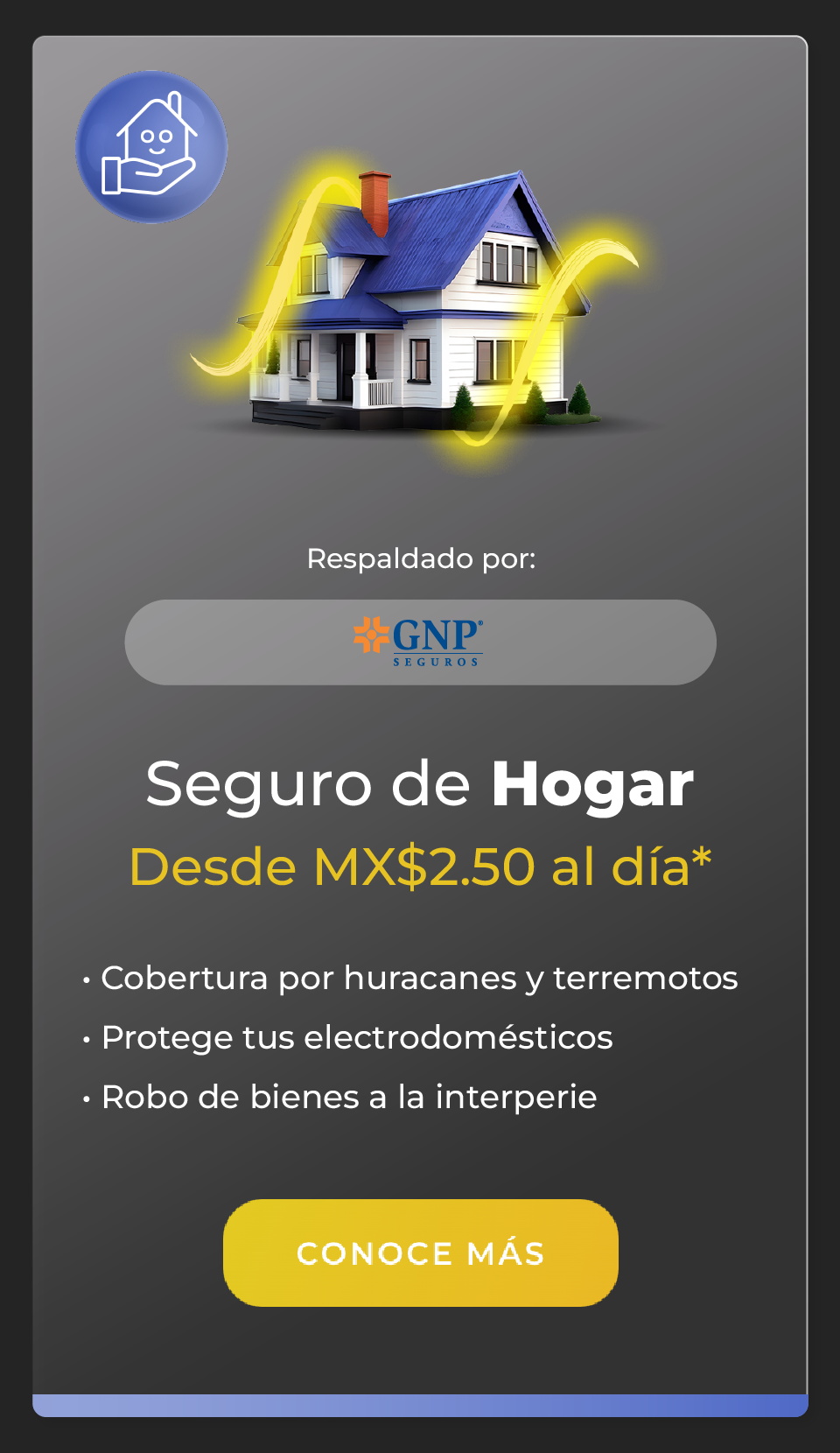 carrusel_hogar1