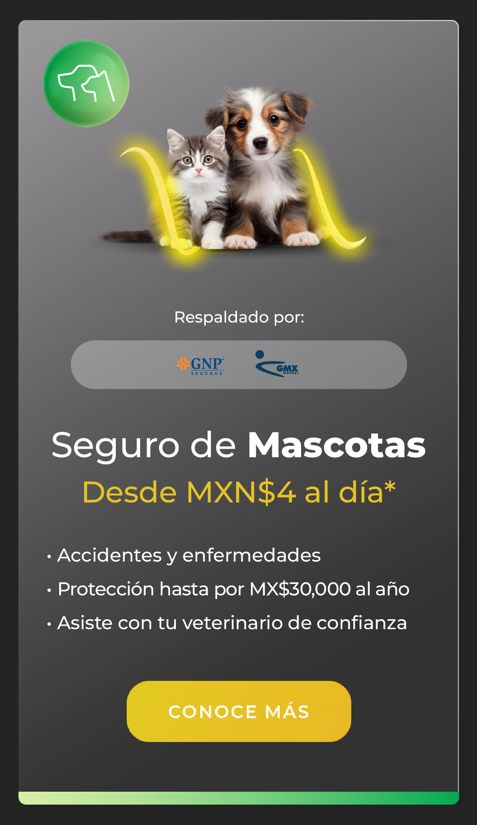 carrusel_mascotas1